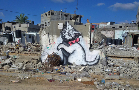 Banksy Kitten in Gaza