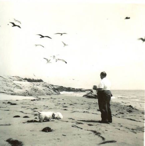 Alfred Hitchcock on a Santa Cruz beach, with his Sealyham terriers, Geoffrey and Stanley Cruz