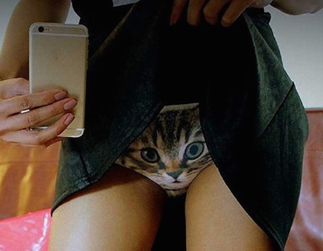 3-D cat panty flasher