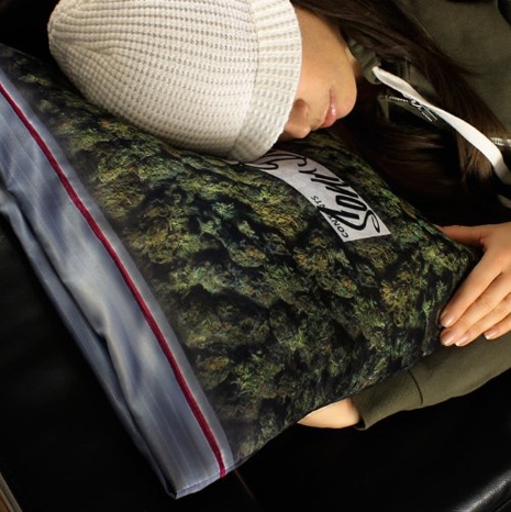 Sweet dreams with the Giant Stash pillowcase