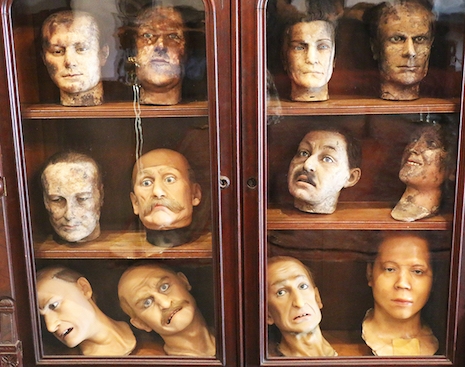 A case of wax disembodied male heads in varying in age and decay