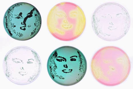 Divine Pop Art made with bacteria