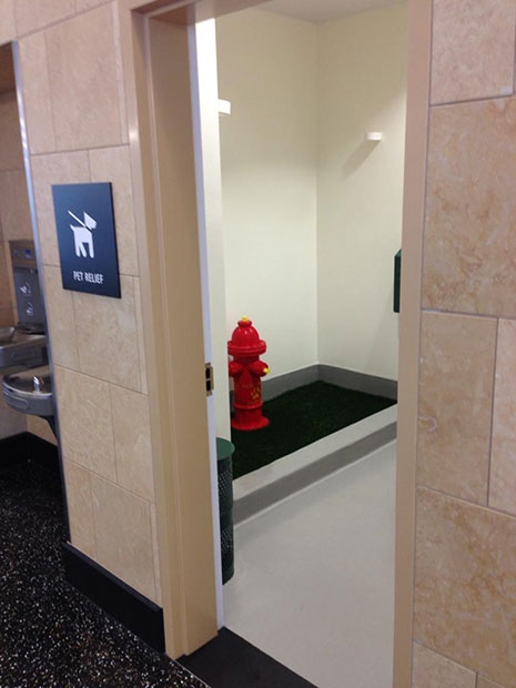 San Diego Airport Dog Bathroom