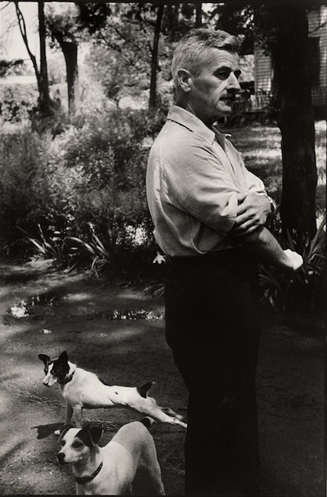 William Faulkner and dogs