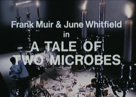 A Tale of Two Microbes