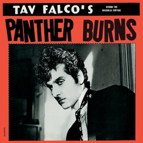 Tav Falco's Panther Burns