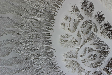 ‘Ghostly fossils’: Beautiful, detailed paper sculptures of cells and microbes