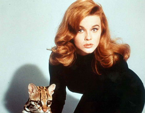 Sex kitten Ann-Margret beckons you to ‘leave your old routine and make the scene’ in ‘The Swinger’