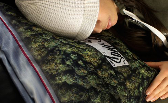 Sweet dreams: Rest your baked head on a giant baggie of dank weed