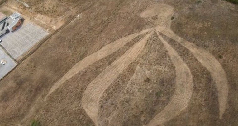 Enormous clitoris crop circle appears in France