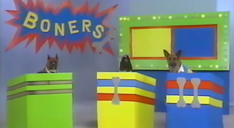 ‘Arf!’: The video variety show made for dogs