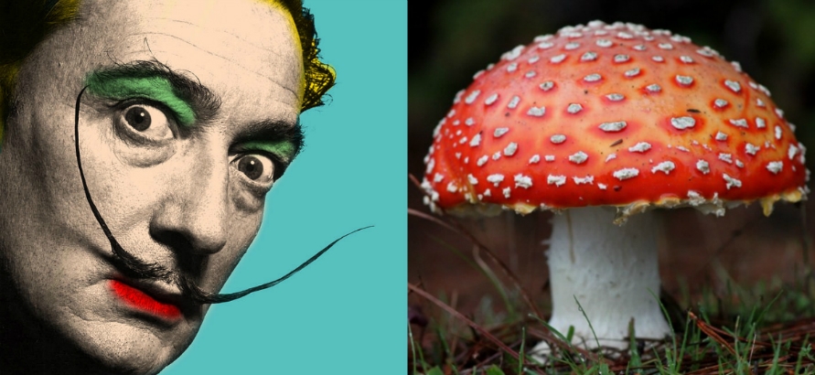 Salvador Dalí goes in search of a psychedelic mushroom in ‘Impressions of Upper Mongolia’