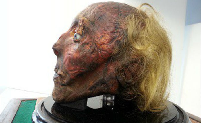 TSA says A-OK to mummified heads as carry-on luggage