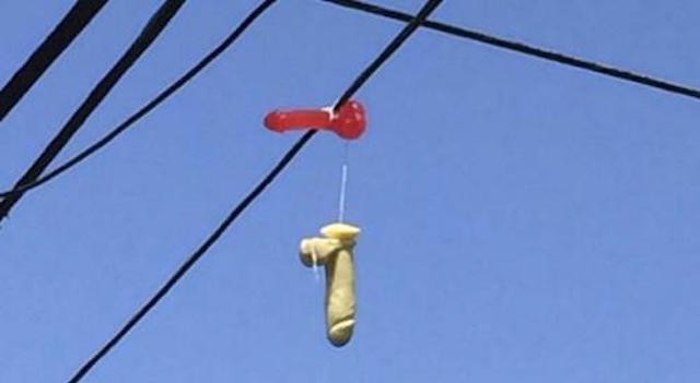 Portlandia invaded by hundreds of sex toys dangling from power lines