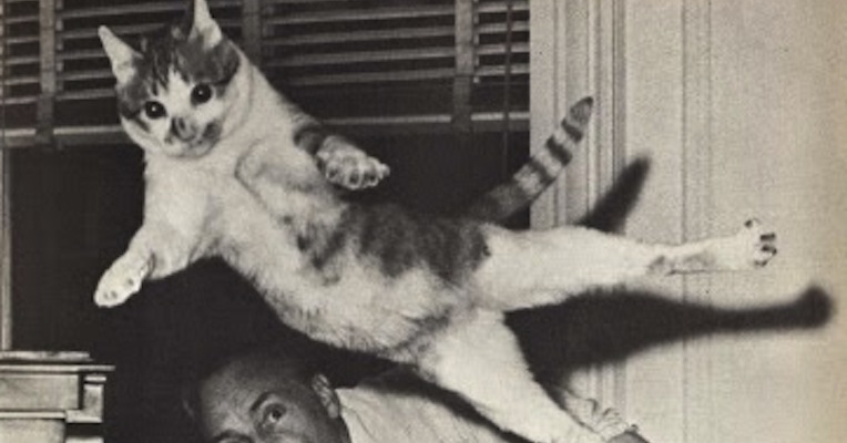 Mourka the dancing cat, pre-Internet trailblazer for today’s ‘cheezburger cats’