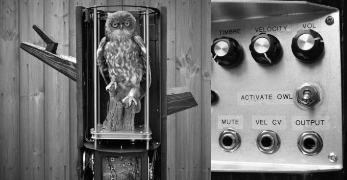 Yes, that’s an owl theremin, why do you ask?