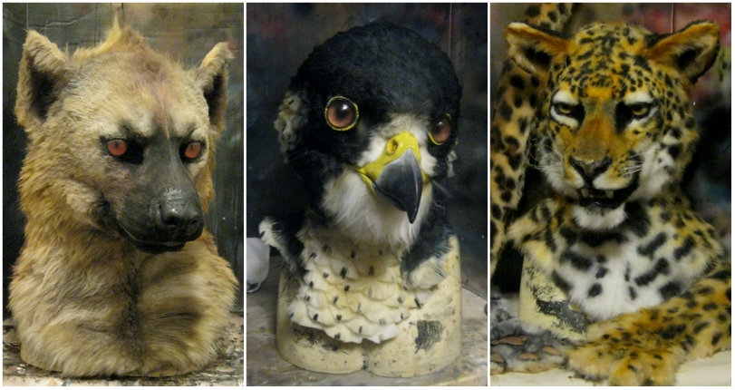 Truly incredible, extremely life-like animal masks and animal costumes