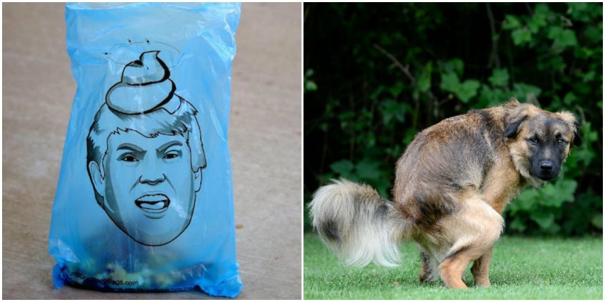 Make picking up poop great again with these Donald Trump doggie-waste bags