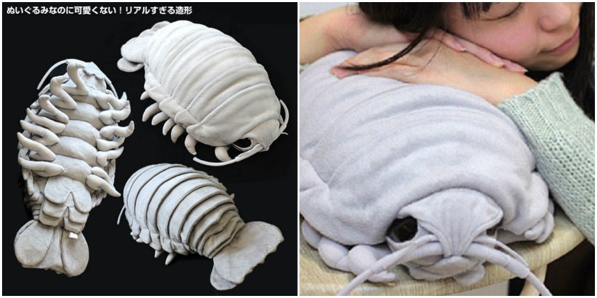 Freakishly cute giant isopod pillows