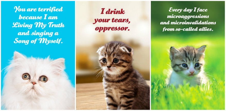 Social Justice Kittens postcard pack