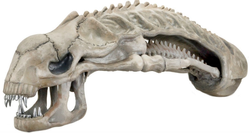 A life-size Xenomorph skull replica can be yours