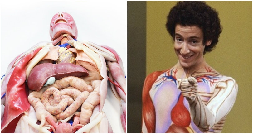 Totally creepy synthetic people and frightening faux human organs used to train surgeons