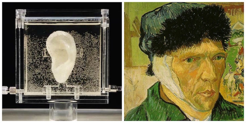 An ear created with Vincent van Gogh’s DNA allows you to ‘speak’ to the artist