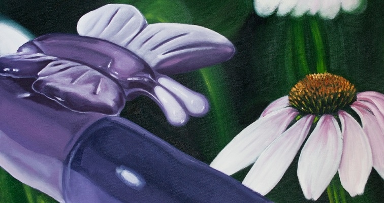 National Pornographic: Beautiful paintings of vibrators in the wilderness