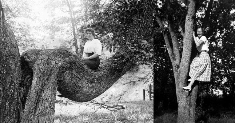 Curious vintage pictures of women in trees