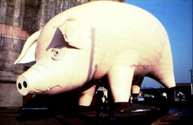 When Pigs Fly: 1977 TV commercial for Pink Floyd’s ‘Animals’