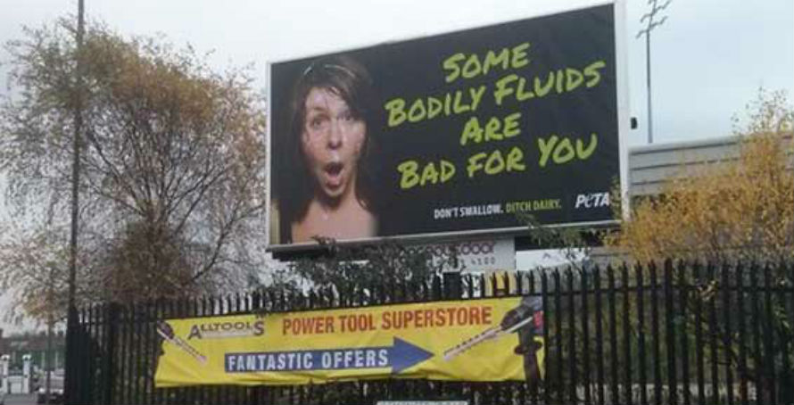 PETA inflicts ‘indecent’ billboard-sized facial on unprepared town