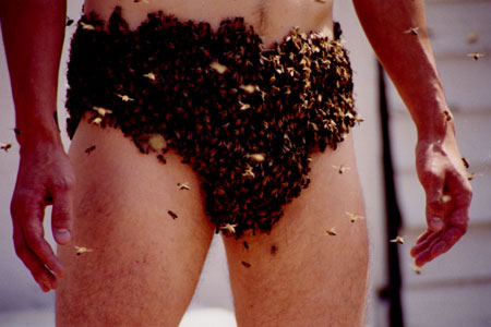 The researchers who discovered that bee stings on the penis are painful—by testing on themselves