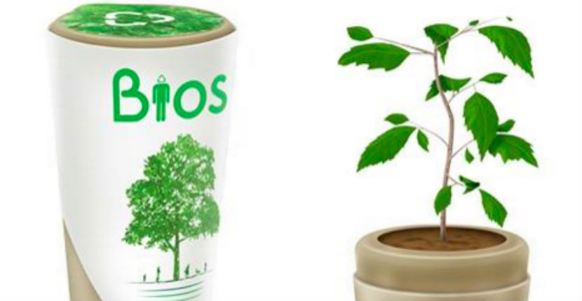 Biodegradable urns that will turn you into a tree after you die