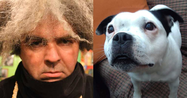 The Melvins’ King Buzzo talks about his rescue dogs