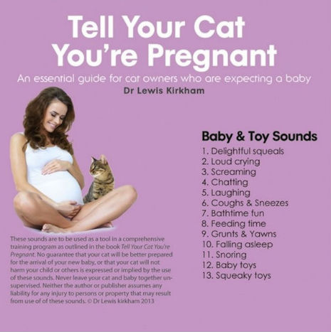 Yes, this really exists: ‘Tell Your Cat You’re Pregnant’