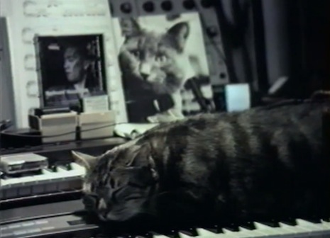 Enigmatic French filmmaker Chris Marker anticipated our cat video obsession a long time ago