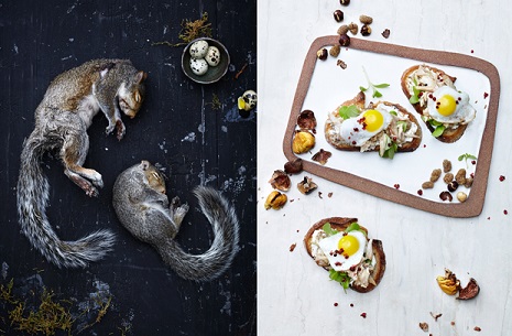 Earthworm lemon tart and squirrel crostini: Gourmet dishes made from ‘invasive species’