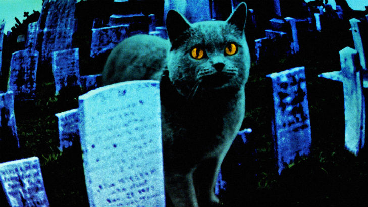 A fate worse than death: Your dead pet sings from beyond the grave!