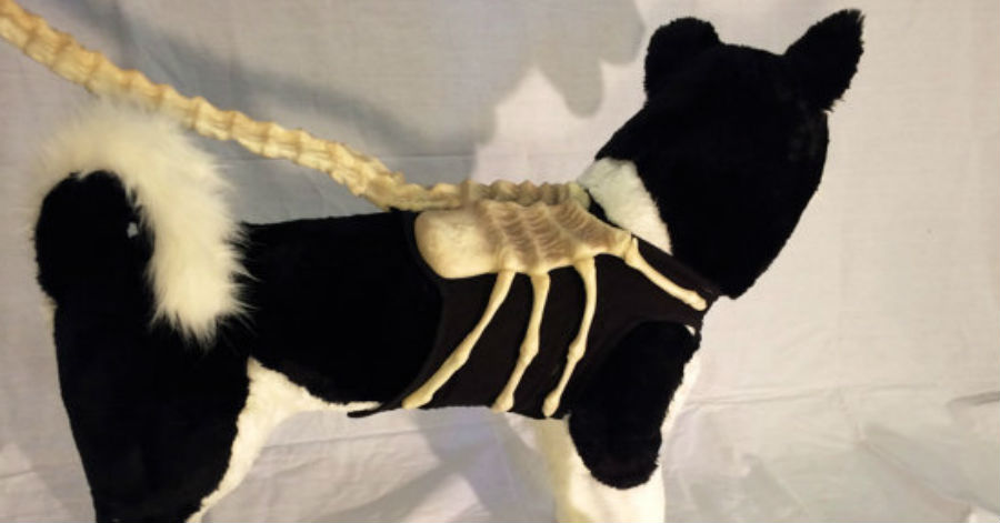 There’s a Facehugger from ‘Alien’ dog leash