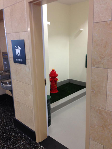 San Diego Airport has a bathroom for dogs