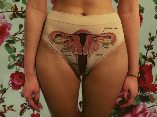 Anatomical lingerie? Yes, anatomical lingerie…
