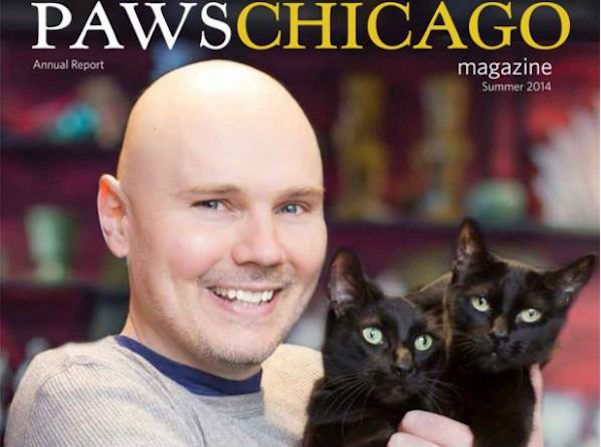 Siamese Dream: Billy Corgan on the cover of a cat magazine