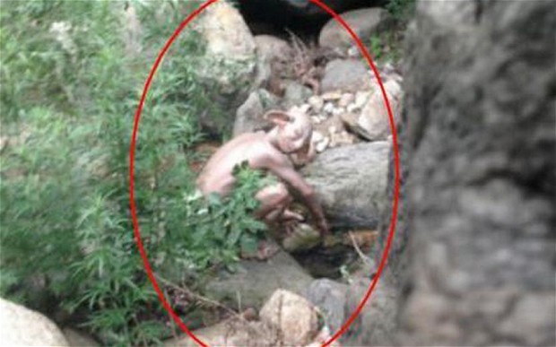 Weird Gollum-looking creature photographed in hills of China