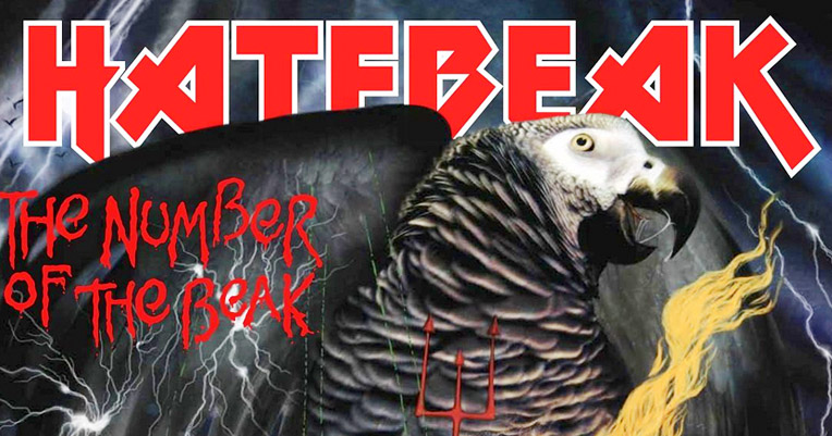 Polly wanna headbang? The return of Hatebeak, the death metal band with a parrot for a singer