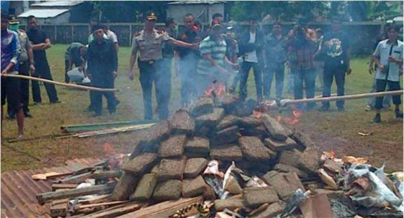 Indonesian police burn 3.3 tons of weed; get entire town high