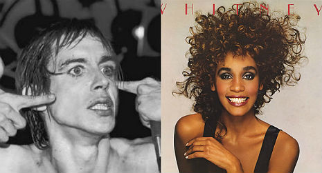 Iggy Pop has a wider vocal range than Whitney Houston?