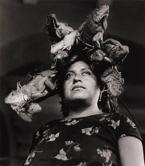 Woman wears a hat made of live Iguanas, 1979