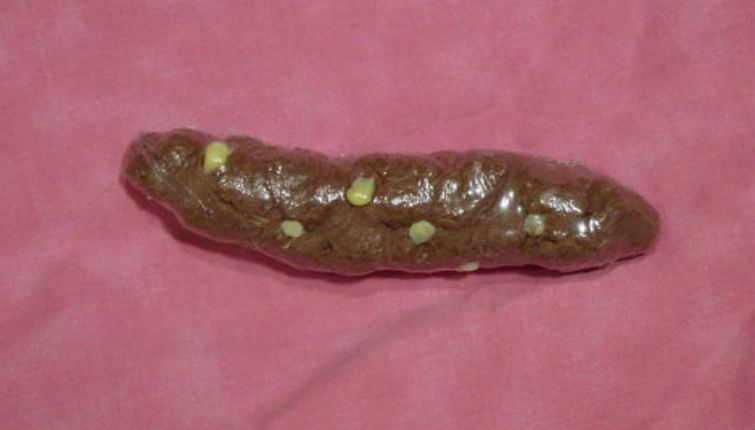 ‘Poop Corn’ hand and body soap