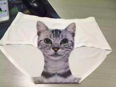 3-D cat panty