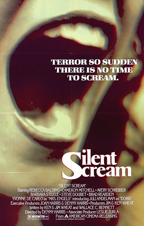 Silent Scream poster